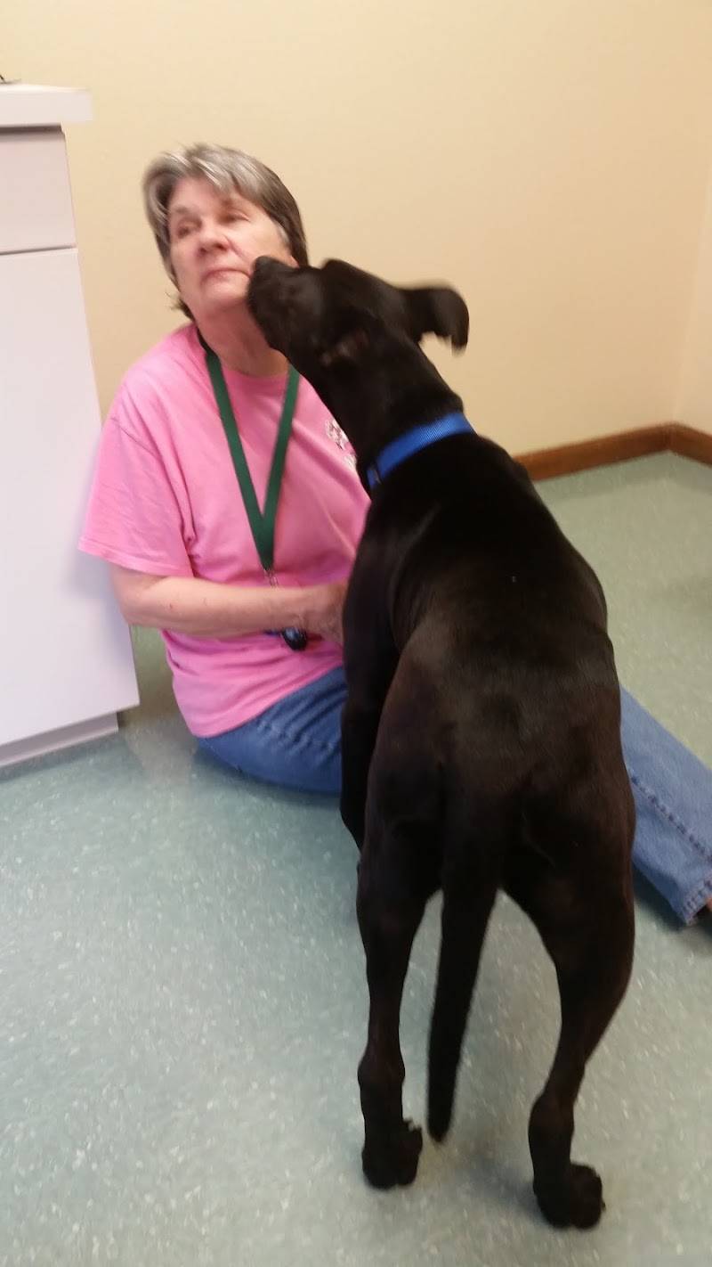 Capital Heights Veterinary Clinic
