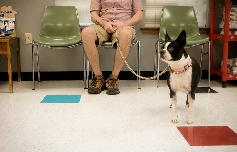Capital Heights Veterinary Clinic