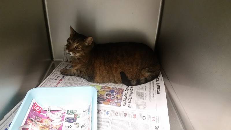 Capital Heights Veterinary Clinic