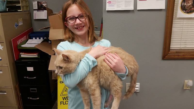 Capital Heights Veterinary Clinic