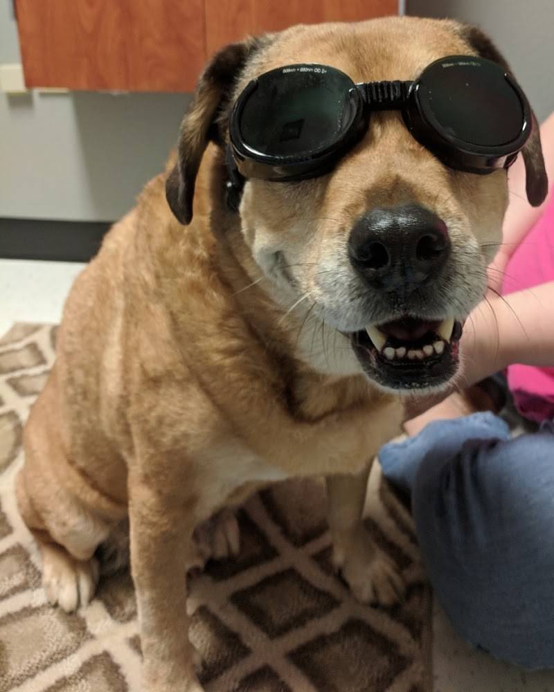 Capital Heights Veterinary Clinic